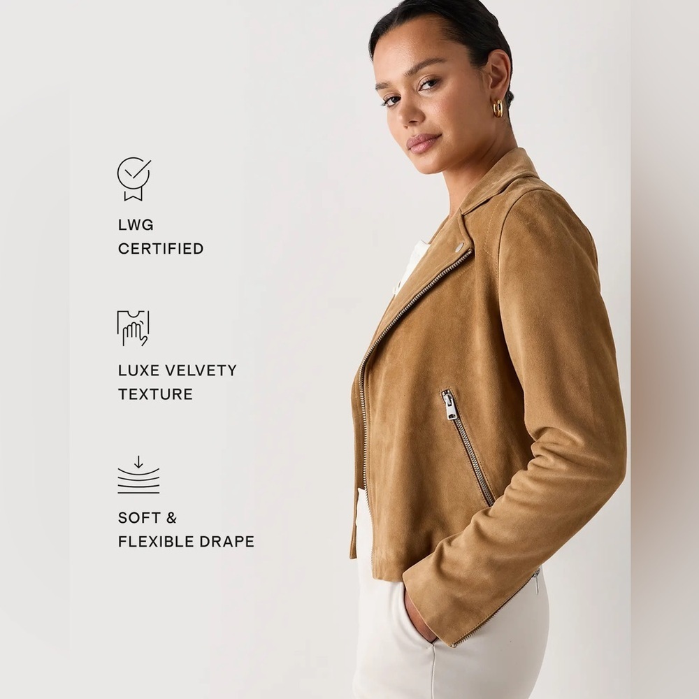Quince 100% Suede Biker Jacket in XS pecan brown - Picture 5 of 17